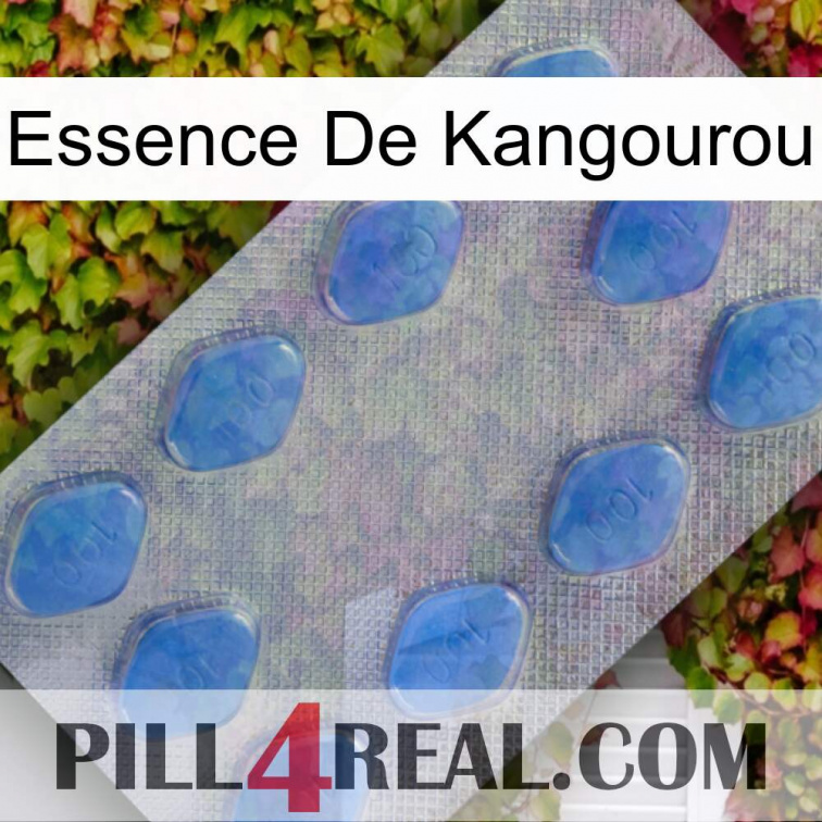 Kangaroo Essence 21